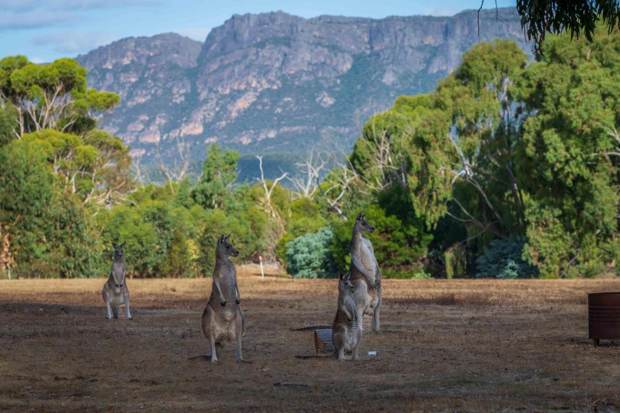 Happy Wanderer Holiday Resort The Grampians Wartook Exterior foto